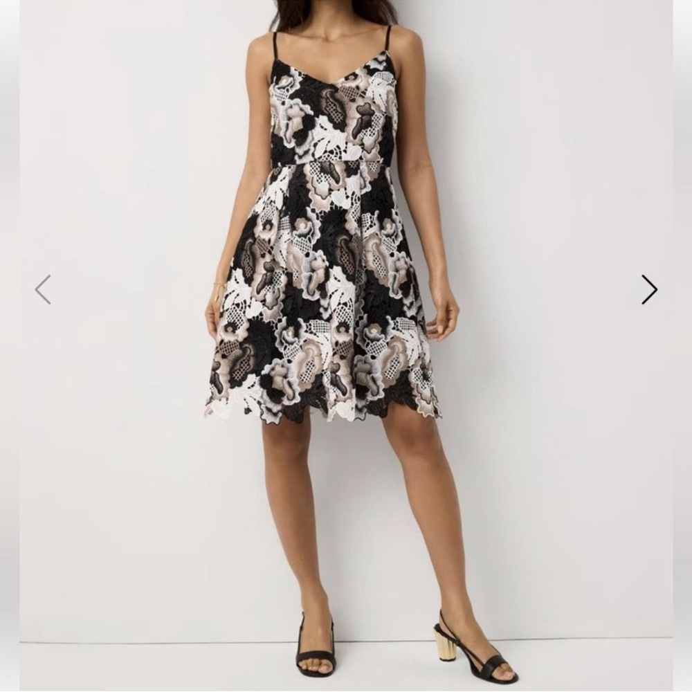White House Black Market Multi lace cacti Cream Fit-and Flare Mini Dress knee 14